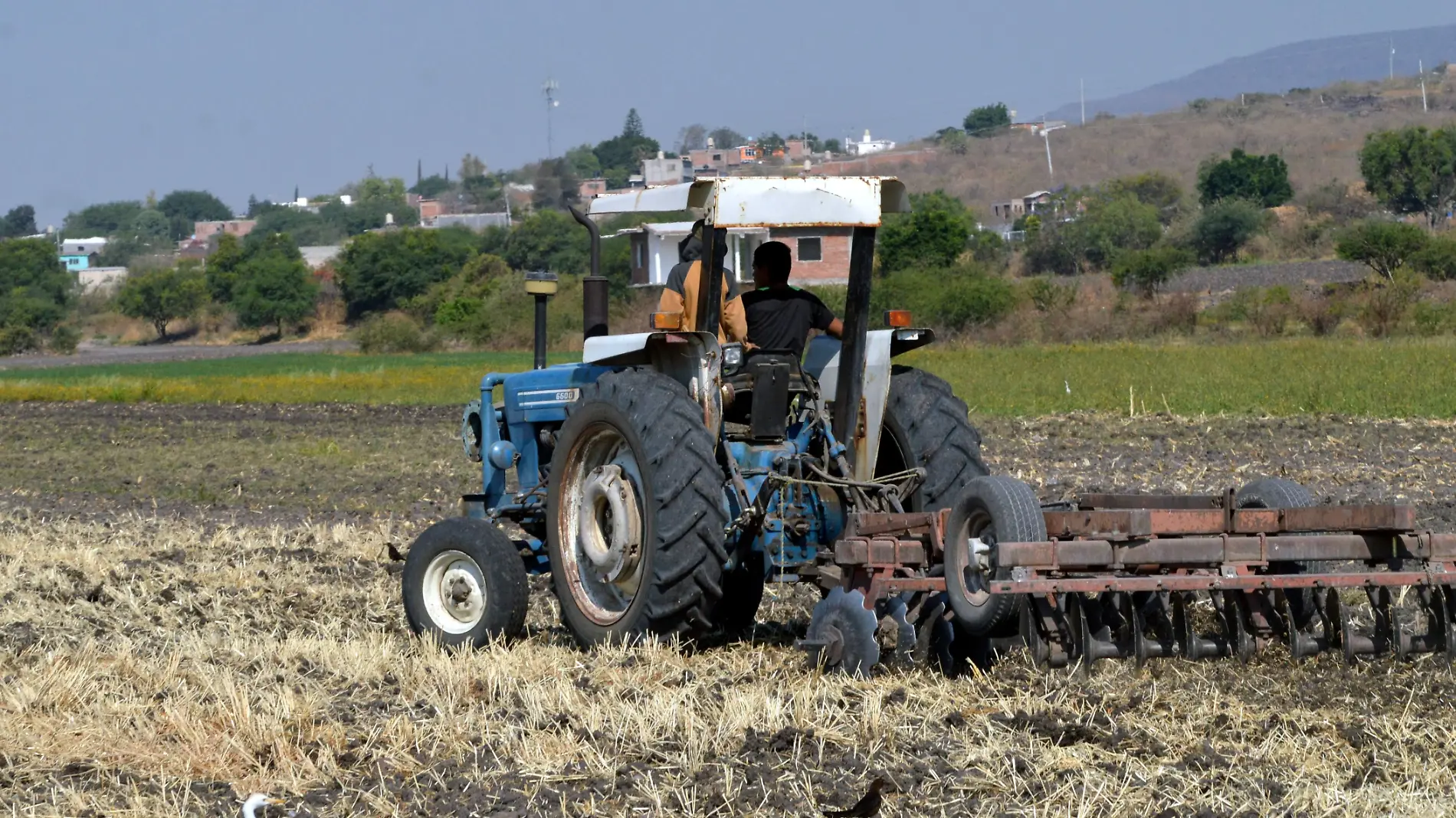 CAMPO (1)